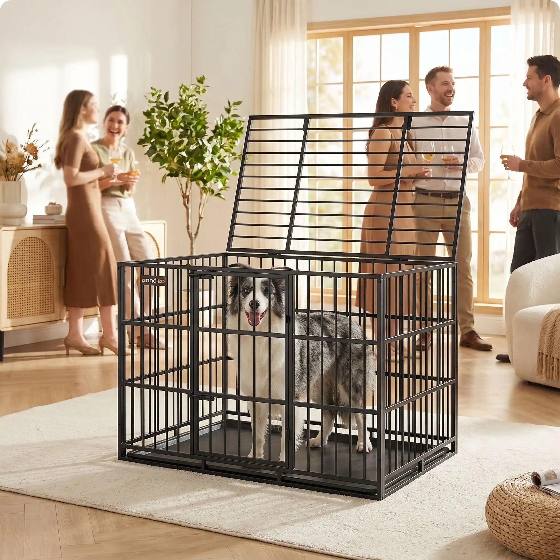 Cage-chien-interieur-chiot-xl en acier noir robuste avec 4 verrous, deux porte sur le toit et le devant pour le chien, plateau en fond amovible ramasse saleté pour un nettoyage facile et rapide gilles intérieur adapté aux chiens à pattes courtes, rectangulaire pour chiot et chien de moyenne à grande taille juqu'à 40 kg-un Berger australien debout  tout heureux dans sa cage avec toit ouvert comme un parc pour chien sécurisé dans le salon de la maison rempli d'invités 