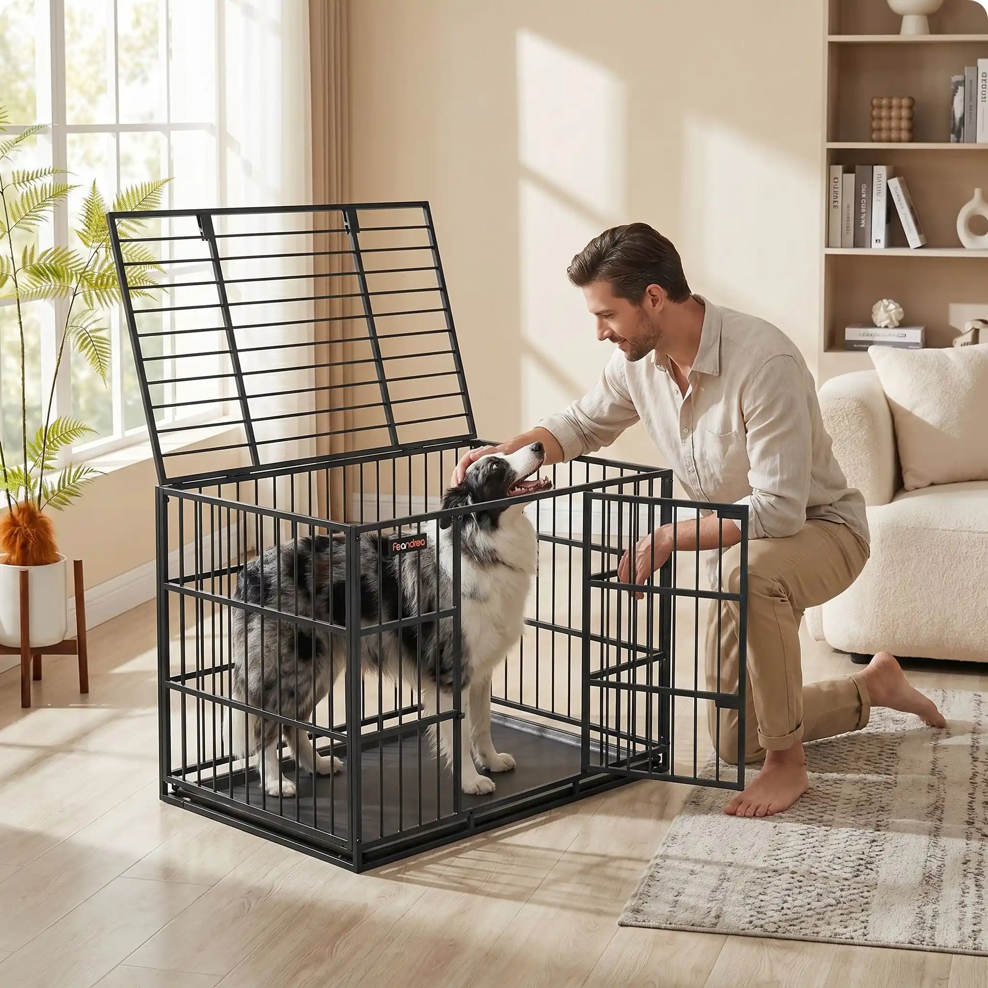 Cage-chien-interieur-chiot-xl en acier noir robuste avec 4 verrous, deux porte sur le toit et le devant pour le chien, plateau en fond amovible ramasse saleté pour un nettoyage facile et rapide gilles intérieur adapté aux chiens à pattes courtes, rectangulaire pour chiot et chien de moyenne à grande taille juqu'à 40 kg-un Berger australien   tout heureux dans sa cage sécurisé avec le toit ouvert par lequel son maitre le caresse avec affection pour un apaisement dans le salon de l'appartement
