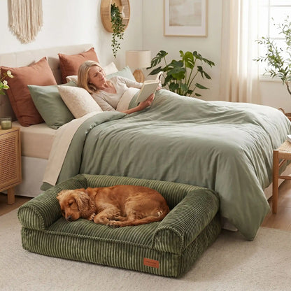 Canapé-petit-chien-chiot-lit avec housse velours résistant aux griffes, ultra doux, entièrement déhoussable et lavable en machine, rembourrage 100% coton PP et housse 100% imperméable avec son fond antidérapant pour chiot et chien de petite à moyenne taille de 0 à 15 kilos-un chien de taille moyenne qui dort niché contre les rebords moelleux du  canapé lit ergonomique en velours doux de couleur vert olive à côté de sa maitresse allongée dans son lit qui lit son livre dans la chambre cosy de l'appartement