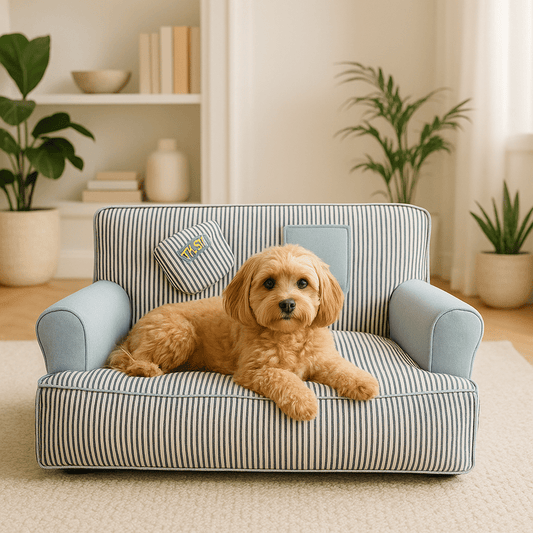 Canapé-chien-déhoussable-lavable en machine-antidérapant-imperméable-100% coton rembourrage ergonomique haute densité-respirant-lit 4 saisons-avec dossier et 2 accoudoirs cylindriques épais-assisse rembourré et épais-isole du froid pour chien de petite taille de 0 à 10 kg-un petit chien à poils frisés couché et heureux sur son canapé rayé bleu et blanc dans le salon d'appartement