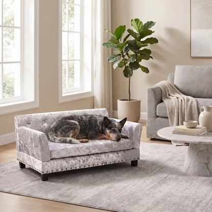 Canapé pour chien xl de 96 cm-matelas orthopédique à mémoire de forme en coton PP épais déhoussable, 100% imperméable et résistant aux griffes en velours doux sur 4 pieds en bois et structure robuste en bois d'eucalyptus robuste avec une capacité de charge de 80 kg pour chien de toute races jusqu'à 35kg de couleur gris- un chien de race moyenne couché confortablement sur le canapé design en bois avec accoudoir et matelassé avec matelas amovible orthopédique déhoussable et lavable dans le salon de la maison