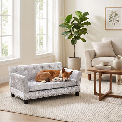 Canapé pour chien xl de 96 cm-matelas orthopédique à mémoire de forme en coton PP épais déhoussable, 100% imperméable et résistant aux griffes en velours doux sur 4 pieds en bois et structure robuste en bois d'eucalyptus robuste avec une capacité de charge de 80 kg pour chien de toute races jusqu'à 35kg de couleur gris- un chien de race moyenne couché confortablement sur le canapé design en bois avec accoudoir et matelassé avec matelas amovible orthopédique déhoussable et lavable dans le salon de la maison
