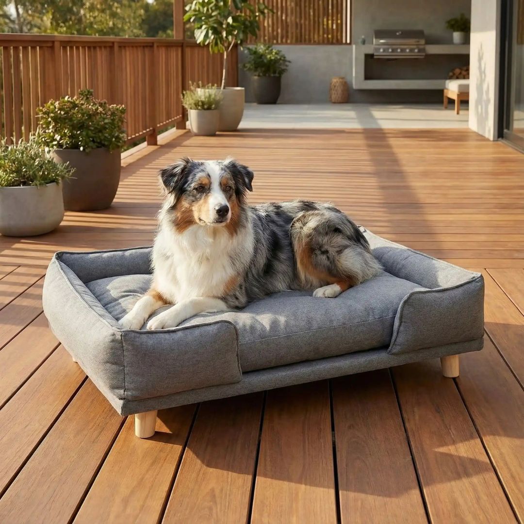 Canapé-lit-pour-chien-bois-coton-design surélevé sur pieds en bois naturel et tissu effet lin ultra-résistant, imperméable et patin antidérapant, structure rectangulaire style scandinave contemporain pour chien jusqu'à 30 kg max de couleur gris-coussin intérieur amovible épais lavable en machine et rembourré 100% coton haute densité et résilience pour un soutien ergonomique optimal de forme rectangulaire avec rebords surélévés -un chien de taille moyenne couché sur le canapé sur la terrasse de l maison