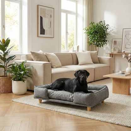 Canapé-lit-pour-chien-bois-coton-design surélevé sur pieds en bois naturel et tissu effet lin ultra-résistant, imperméable et patin antidérapant, structure rectangulaire style scandinave contemporain pour chien jusqu'à 30 kg max de couleur gris-coussin intérieur amovible épais lavable en machine et rembourré 100% coton haute densité et résilience pour un soutien ergonomique optimal de forme rectangulaire avec rebords surélévés et entourant-un grand chien couché confortablement sur son canapé dans le salon