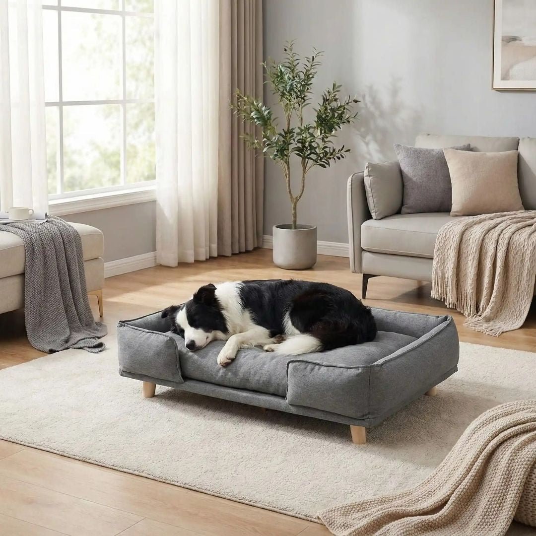 Canapé-lit-pour-chien-bois-coton-design surélevé sur pieds en bois naturel et tissu effet lin ultra-résistant, imperméable et patin antidérapant, structure rectangulaire style scandinave contemporain pour chien jusqu'à 30 kg max de couleur gris-coussin intérieur amovible épais lavable en machine et rembourré 100% coton haute densité et résilience pour un soutien ergonomique optimal de forme rectangulaire avec rebords surélévés et entourant-un chien à poils long qui dort paisiblement sur le canapé surélevé