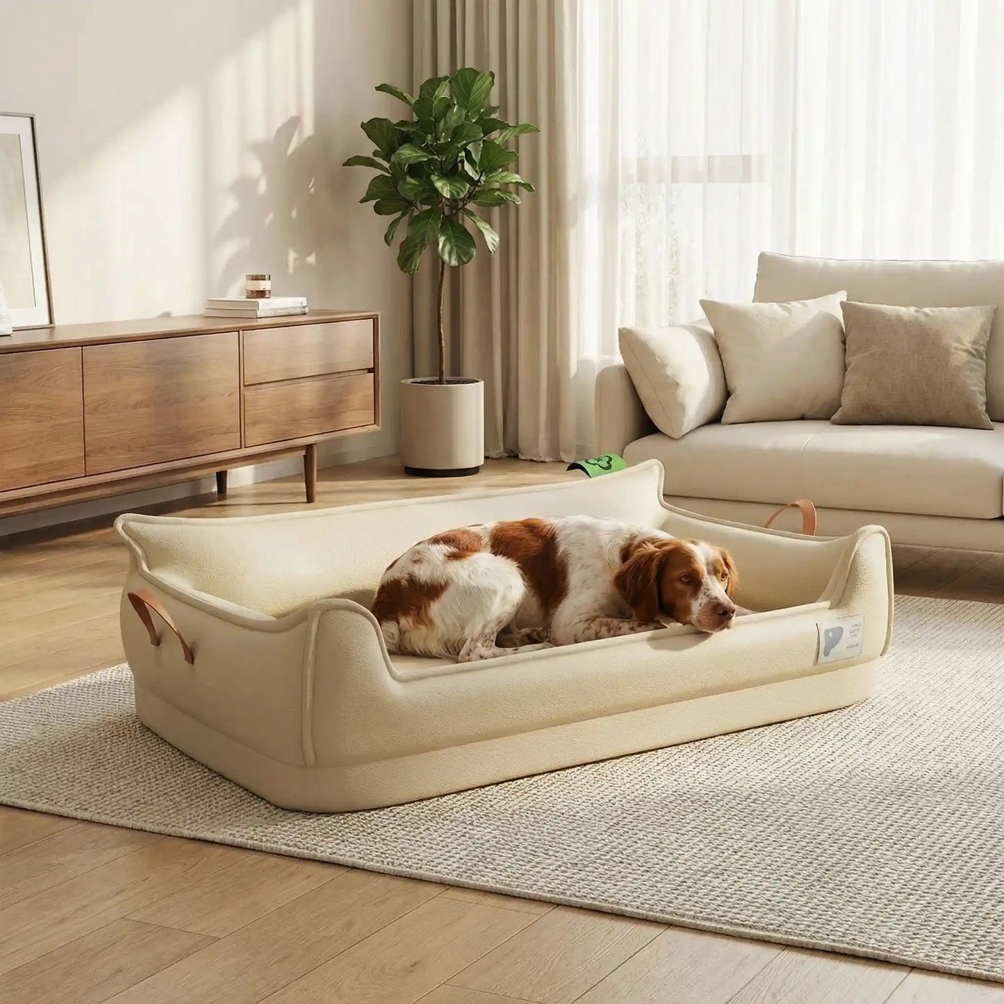 Canape-orthopedique-chien-chiot-imperméable, déhoussable, antidérapant et lavable avec deux poignée de transport semblable à un panier avec dossier et rebord en accoudoir, résistant aux griffes en cuir végan et matelas haute résilience à mémoire de forme en coton PP, design moderne et soigné avec coutures solides pour chiot et chien de petite à moyenne taille-un chien moyen qui se repose paisiblement dans son canapé en forme de panier design et moderne de couleur beige dans le salon de l'appartement