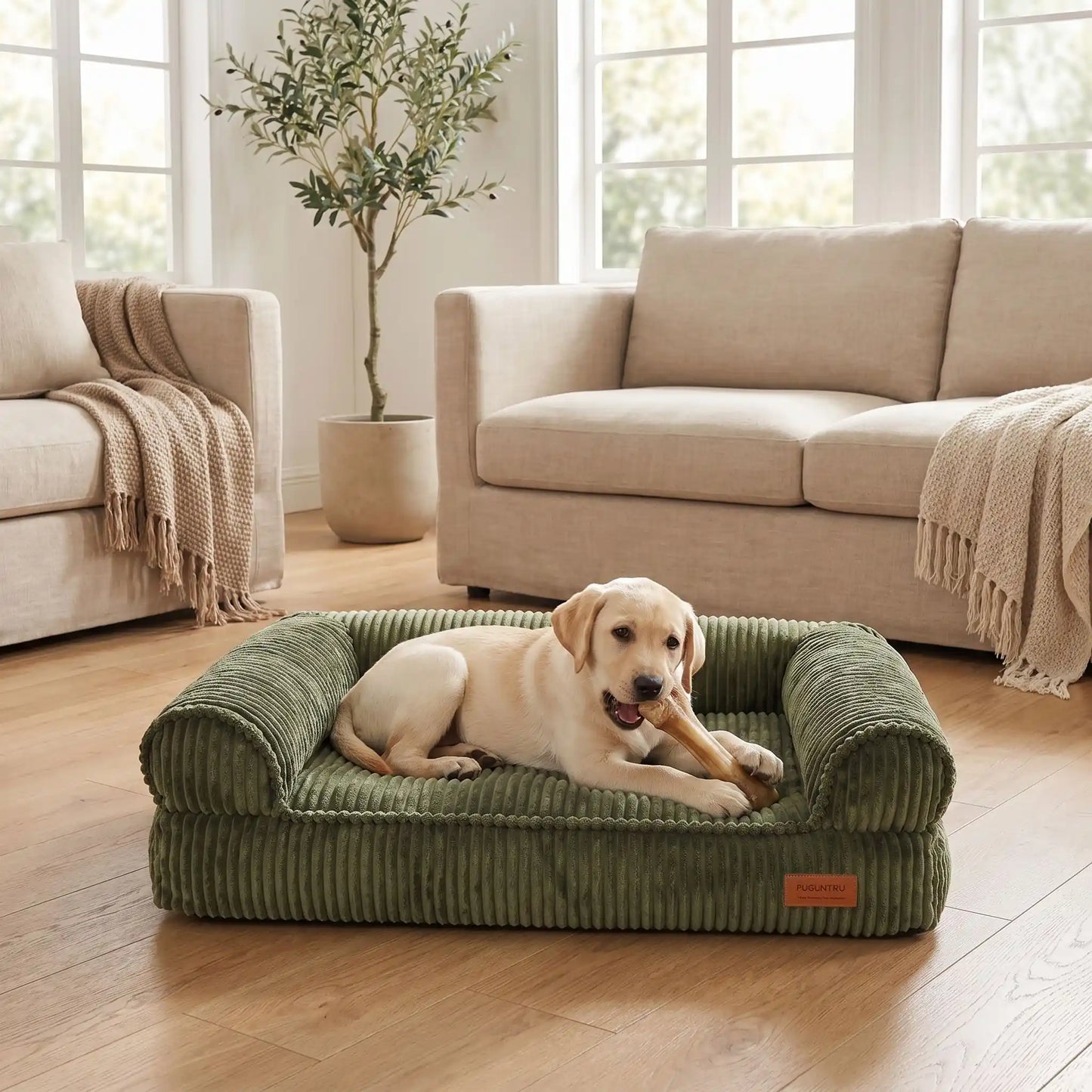 Canapé-petit-chien-chiot-lit avec housse velours résistant aux griffes, ultra doux, entièrement déhoussable et lavable en machine, rembourrage 100% coton PP et housse 100% imperméable avec son fond antidérapant pour chiot et chien de petite à moyenne taille de 0 à 15 kilos-un chiot qui mange son os couché confortablement sur son canapé lit moelleux et ergonomique avec rebords surélevés en velours chic de couleur vert olive dans le salon de la maison