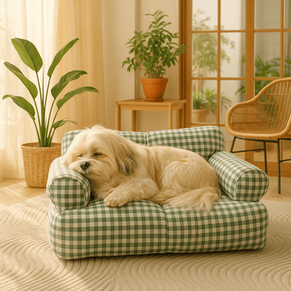 Canapé-petit-chien-carreaux-vichy-vert-et-blanc-100% coton haute densité-entièrement déhoussable et lavable en machine-antidérapant-couchage 4 saisons-respirant en été en tissu coton-chaud en été avec 2 accoudoirs cylindrique et dossier rembourrés pour chiot et chien de petite taille de 0 à 10 kg-un Lhassa Apso qui dort paisiblement sur son canapé douillet et moelleux dans la véranda de la maison