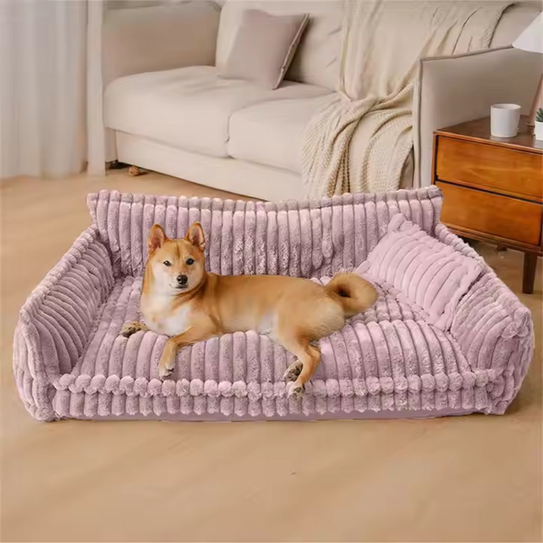 Canapé-pour-chien-chiot-déhoussable, lavable en machine, housse en velours douce comme un lit en peluche, avec accoudoirs et dossier entourant au rembourrage 100% coton PP avec un oreiller lavable en velours assorti pour chien de 0 à + de 45kg, antidérapant et fond imperméable-un chien de taille moyenne couché confortablement avec son oreiller sur le grand canapé xxl de 120 cm de long en velours de couleur mauve qui  dans le salon de l'appartement