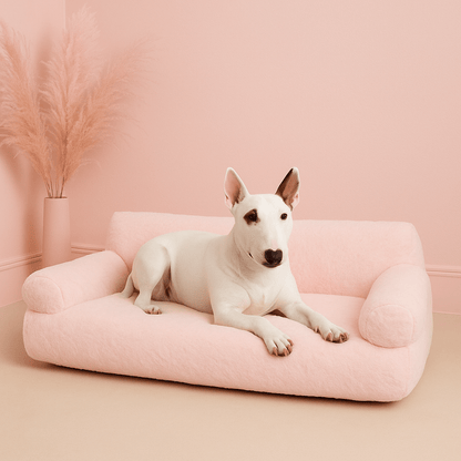 Canapé-pour-chien-déhoussable-lavable en machine-en velours et en rembourrage 100% coton haute densité ergonomique avec dossier et deux accoudoirs cylindriques épais et moelleux-chaud, antidérapant pour chien de petite à moyenne taille de 0 à 20 kg-un Bull Terrier miniature couché confortablement sur le canapé douillet de couleur rose dans la chambre