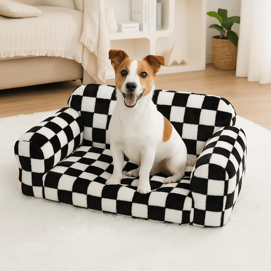 Canapé-pour-chien-déhoussable-taille-M-un petit chien assis et heureux sur son canapé moelleux, déhoussable et lavable en machine dans le salon de la maison