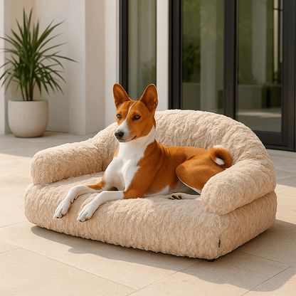Canapé-pour-chien-douillet-déhoussable-antidérapant-lavable-en-machine-en fausse fourrure imitation lapin-ultra-doux-résistant-rembourrage 100% coton haute densité ergonomique pour chiot ou petit à chien de moyenne taille-avec accoudoir et haut dossier-couchage apaisant chaud et hypoallergénique, respectueux des peaux sensibles et de son pelage-un chien de taille moyenne couché confortablement sur son canapé taille M-moelleux sur la terrasse de l'appartement