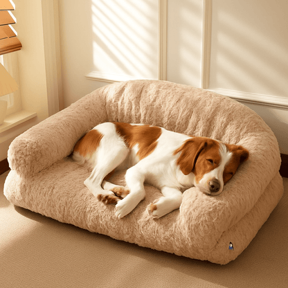 Canapé-pour-chien-douillet-déhoussable-antidérapant-lavable-en-machine-en fausse fourrure imitation lapin-ultra-doux-résistant-rembourrage 100% coton haute densité ergonomique pour chiot ou petit à chien de moyenne taille-avec accoudoir et haut dossier-couchage apaisant chaud et hypoallergénique, respectueux des peaux sensibles et de son pelage-un chien moyen qui dort paisiblement sa tête reposant sur l'accoudoir sur son canapé taille L-moelleux dans le salon de l'appartement 