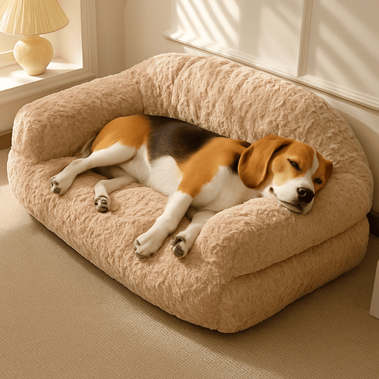 Canapé-pour-chien-douillet-déhoussable-antidérapant-lavable-en-machine-en fausse fourrure imitation lapin-ultra-doux-résistant-rembourrage 100% coton haute densité ergonomique pour chiot ou petit à chien de moyenne taille-avec accoudoir et haut dossier-couchage apaisant chaud et hypoallergénique, respectueux des peaux sensibles et de son pelage-un chien moyen qui dort paisiblement sa tête reposant sur l'accoudoir sur son canapé taille L-moelleux dans le salon de l'appartement 