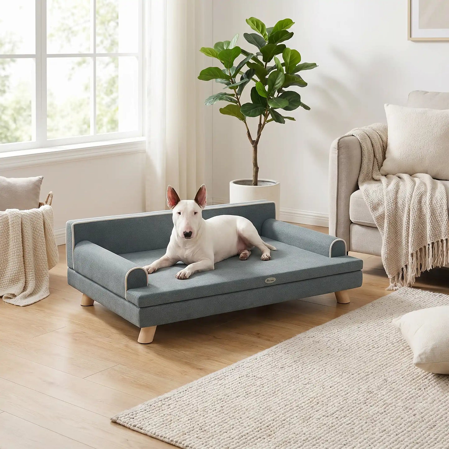 Canapé-pour-chien- chiot-sur-pied-anti rayure et antidérapant-banquette-100-cm avec coussin amovible déhoussable et lavable en machine, housse en velours imperméable avec dossier et accoudoir rembourré 100% coton haute densité, structure robuste et solide en bois massif, canapé lit syle scandinave design chic de couleur gris pour chiot et chien de petite à moyenne taille-un chien de race miniature de taille  moyenne confortablement couché sur le canapé chic et solide dans le salon moderne de l'appartement