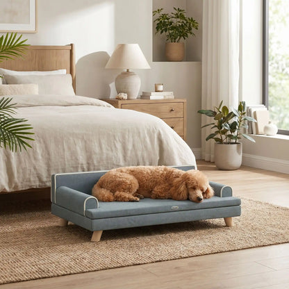 Canapé-pour-chien- chiot-sur-pied-anti rayure et antidérapant-banquette-100-cm avec coussin amovible déhoussable et lavable en machine, housse en velours imperméable avec dossier et accoudoir rembourré 100% coton haute densité, structure robuste et solide en bois massif, canapé lit syle scandinave design chic de couleur gris pour chiot et chien de petite à moyenne taille-un caniche moyen qui dort paisiblement couché sur le canapé chic et solide dans la chambre moderne et lifestyle de la maison