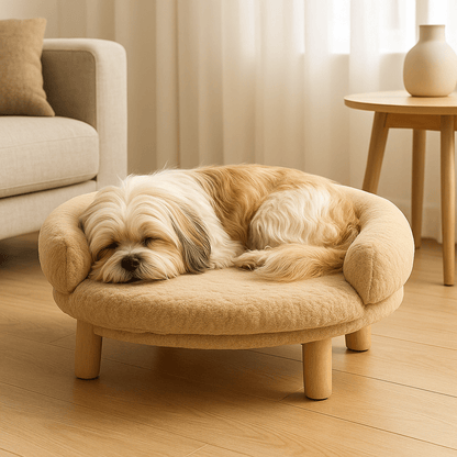 Canapé-pour-chien-sur-pied-lavable-bois-coton-un petit chine à poils long qui dort paisiblement dans son petit lit surélevé avec traversin à 180° entourant rembourré 100% coton haute résilience ergonomique lavable en machine avec structure en bois naturel robuste pour chien de petites races dans le salon de l'appartement