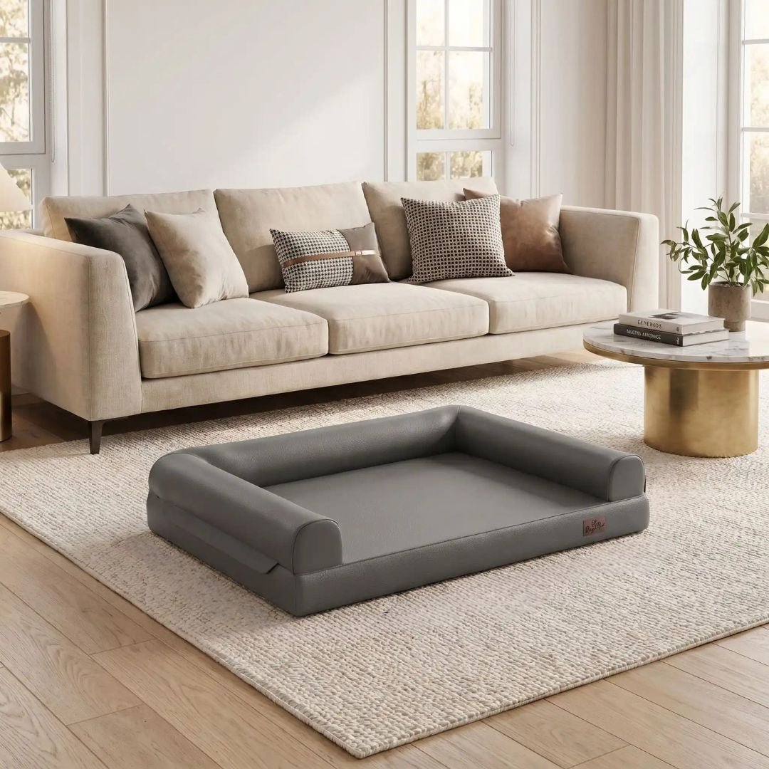 Canape-pour-chien-xxl-lit-orthopédique, matelas à mémoire de forme, 100% coton haute densité et haute résilience, accoudoir et dossier en U cylindriques, housse 100% imperméable et déhoussable, lavable, canapé lit pour grand chien de 130 cm de longueur pour grandes races de chiens jusqu'à 6 kilos maximum-gros plan sur le canapé lit xxl pour grand chien de couleur gris dans le salon moderne de la maison