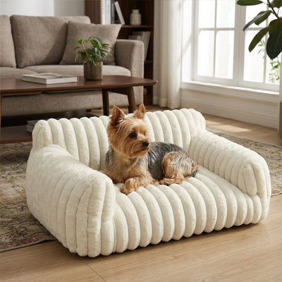 Canapé-pour-petit-chien-chiot-déhoussable-moelleux au rembourrage 100% coton haute densité, déhoussable et lavable en machine à laver, fond antidérapant et imperméable, housse en velours douce et résistante aux griffes pour chiot et chien de 0 à 7 kilos-un chien de taille miniature couché confortablement dans son petit canapé lit de couleur blanc crème moelleux et douillet dans le salon de l'appartement