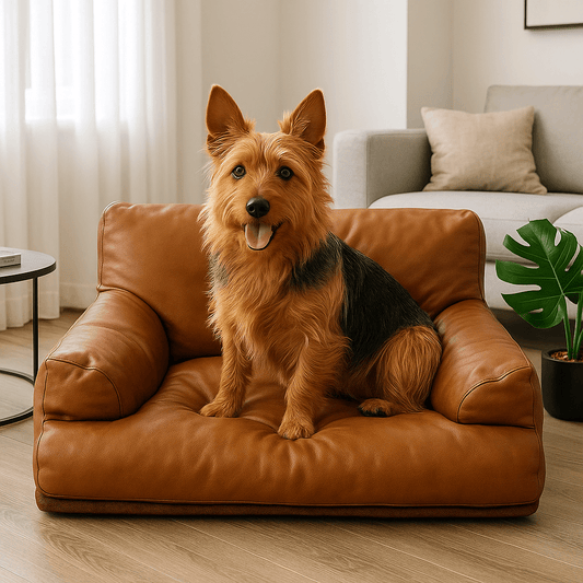 Canapé-pour-petit-chien-imperméable-avec-accoudoir-rembourrage 100% coton-pour chiot et petite race-chihuahua-Teckel-Schnauzer- caniche nain-bichon frisé- Cairn terrier- Jack Russel-Pinscher nain-Coton de Tuléar-Shih tzu- Loulou de poméranie-Westie- Lhassa Apso-Yorkshire-Affenpinscher-Épagneul Papillon, ou Épagneul nain- Welsh Corgi- terrier australien-Petit brabançon