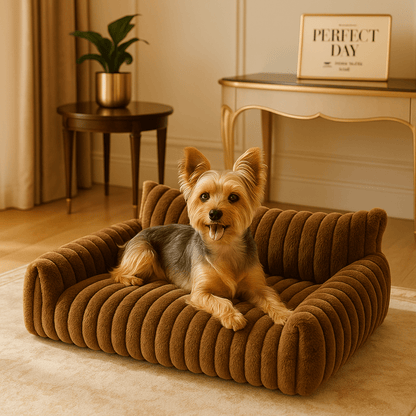 Canapés-pour-chiens-apaisant-peluche et rembourrage 100% coton haute densité ergonomique-déhoussable et lavable en machine-lit chaud ultra doux et résistant aux griffes et morsure-technologie anti-tâche-antidérapant-avec dossier et 2 accoudoirs épais et moelleux pour chien de petite taille de 0 à 10 kg-un chien miniature confortablement couché sur son mini canapé marron en peluche dans le salon de l'appartement