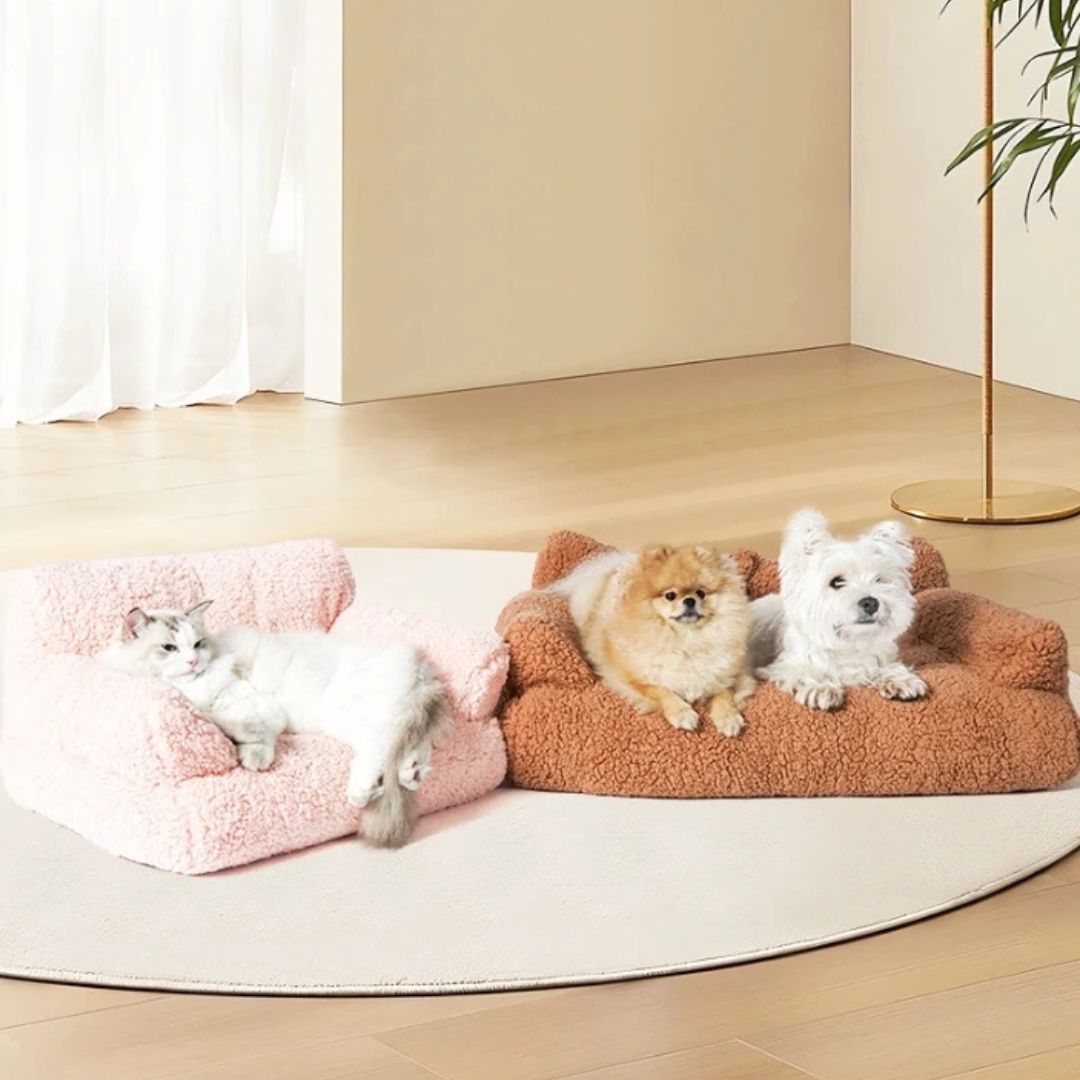 Canapés-pour-chiens-xxl-120-cm, déhoussable, antidérapant et lavable en machine, en peluche éponge douce et rembourrage 100% coton haute densité, housse 100% imperméable, avec 2 dossiers et 2 accoudoirs pour chien de 0 à +45 kg-  un petit chien et un chien de taille moyenne couché confortablement  sur le canapé xxl de couleur marron avec un chat allongé confortablement sur un autre canapé rose dans le salon de la maison