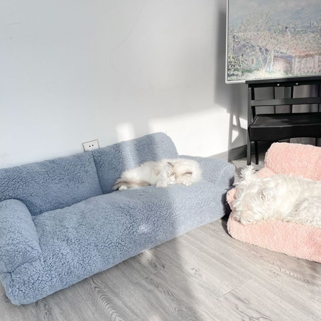 Canapés-pour-chiens-xxl-120-cm, déhoussable, antidérapant et lavable en machine, en peluche éponge douce et rembourrage 100% coton haute densité, housse 100% imperméable, avec 2 dossiers et 2 accoudoirs pour chien de 0 à +40 kg-  un chien de taille moyenne couché confortablement sur le grand canapé xxl de couleur marron avec un chat allongé confortablement sur un autre canapé bleu dans le salon de la maison