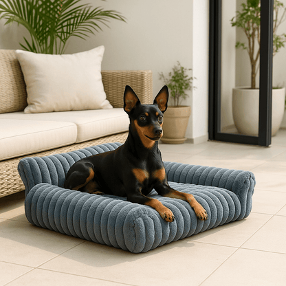Canapés-pour-chiens-apaisant-peluche et rembourrage 100% coton haute densité ergonomique-déhoussable et lavable en machine-lit chaud ultra doux et résistant aux griffes et morsure-technologie anti-tâche-antidérapant-avec dossier et 2 accoudoirs épais et moelleux pour chien de petite taille de 0 à 10 kg-un chien de race naine confortablement couché sur son mini canapé gris dans le salon de la maison
