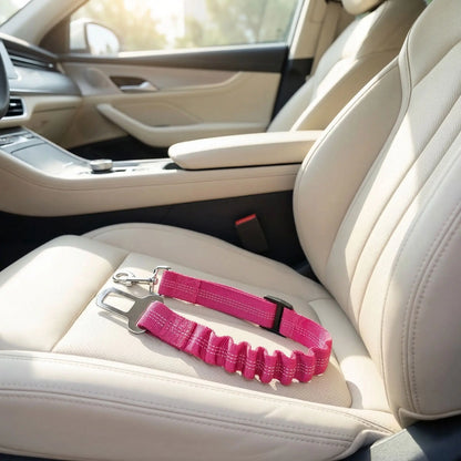 Ceinture-de-sécurite-chien en nylon noir avec clip pour l'attache-gros plan sur la ceinture de sécurité extensible pour chien sur le siège de la voiture