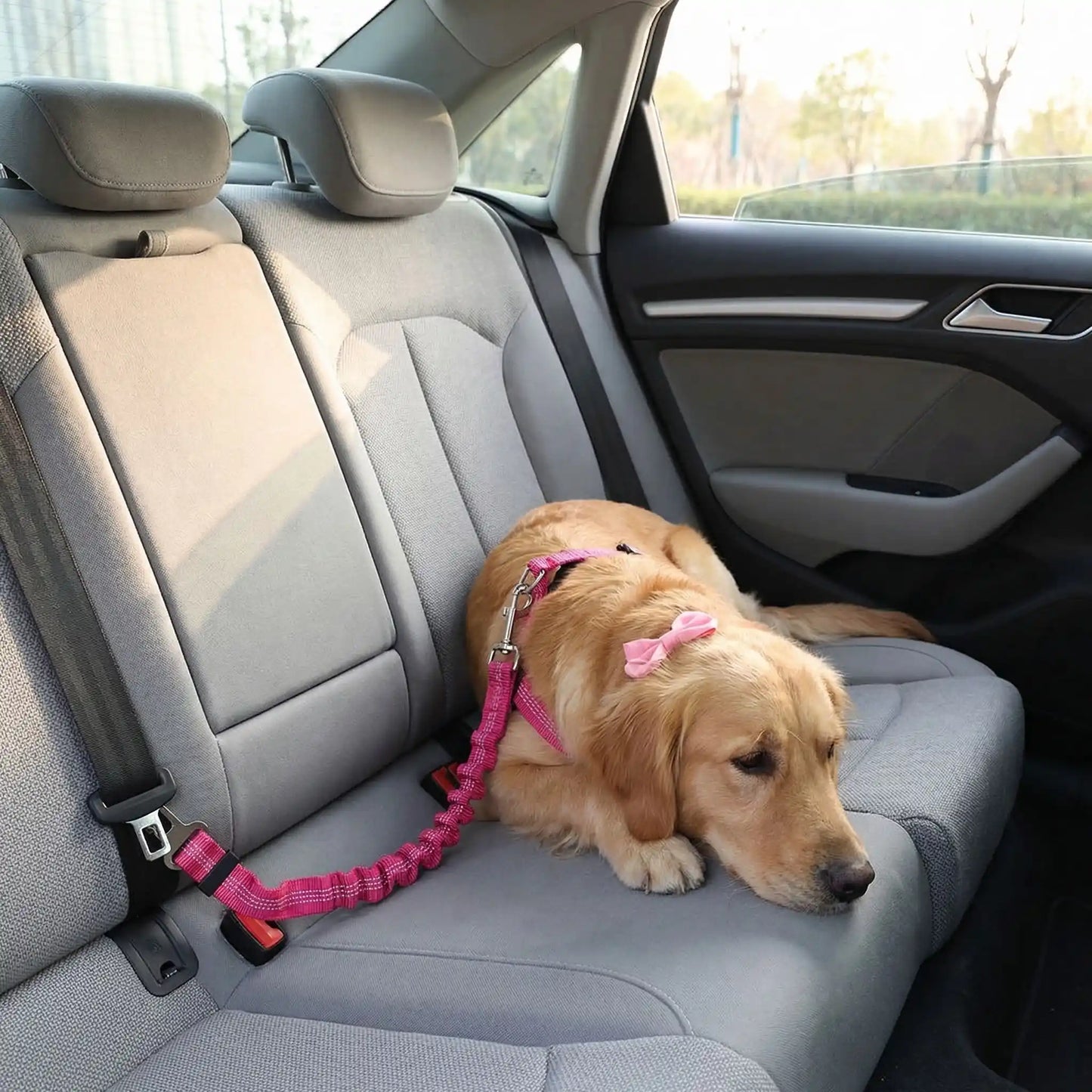 Ceinture-de-sécurite-chien en nylon rose avec clip pour l'attache- un Golden retriever couché sur les sièges arrières attaché par le harnais à la ceinture de sécurité extensible clipser dans le bloc