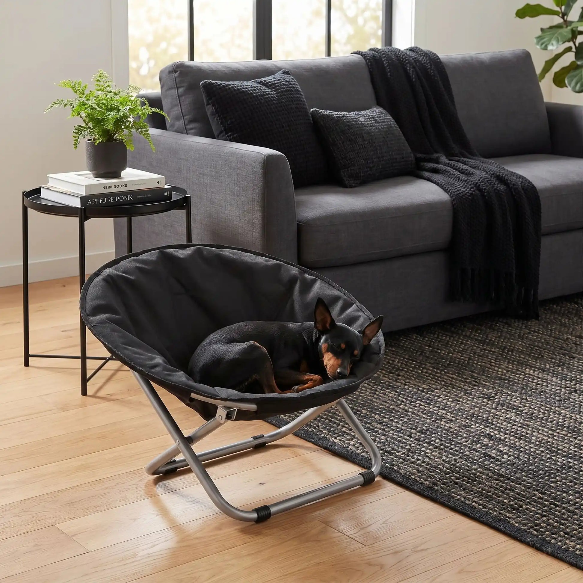 Chaise-pour-chien-chiot déhoussable et lavable, imperméable, structure design en acier robuste arrondie comme un cocon entourant avec deux hauteurs adaptables, pliable avec sa housse en nylon résistant aux griffes pour chiot et chien de 0 à 7 kilos-un chien de race naine qui dort paisiblement dans sa chaise ronde de couleur noir dans le salon de l'appartement