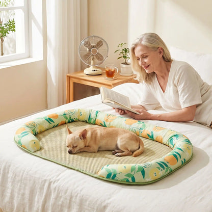 Chien-tapis-rafraichissant-coussin-apaisant avec rebord surélevé en U pour un effet entourant 100% coton haute densité, respirant , lavable et antidérapant, un effet rafraichissant immédiat sans eau ni électricité, sans danger pour les chiens de petites à moyenne tailles-un chihuahua qui dort apisiblement sur son tapis rafraichissant entouré par le traversin rembourré protecteur sur le lit à côté de sa maitresse allongé qui lit son livre dans la chambre de l'appartement en été