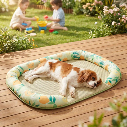 Chien-tapis-rafraichissant-coussin-apaisant avec rebord surélevé en U pour un effet entourant 100% coton haute densité, respirant , lavable et antidérapant, un effet rafraichissant immédiat sans eau ni électricité, sans danger pour les chiens de petites à moyenne tailles-un chien de taille moyenne à ppils drus et épais  qui dort sur le flanc, et de tout son long sur son tapis rafraichissant entouré par le traversin rembourré protecteur sur la terasse du jardin de la maison en été