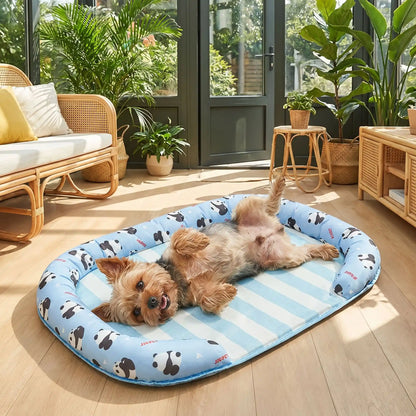 Chien-tapis-rafraichissant-coussin-apaisant avec rebord surélevé en U pour un effet entourant 100% coton haute densité, respirant , lavable et antidérapant, un effet rafraichissant immédiat sans eau ni électricité, sans danger pour les chiens de petites à moyenne tailles-un Yorkshire heureux couché sur le dos et les pattes en l'air au frais sur son tapis rafraichissant, entouré par le traversin rembourré protecteur, dans la véranda de la maison en été