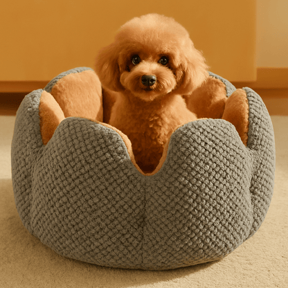 Coussin-anti-stress-chien-anti-anxiété-un chien de taille naine assis dans son lit rond douillet et chaud avec coussin amovible épais rembourré 100% coton haute densité lavable en machine dans le salon de l'appartement