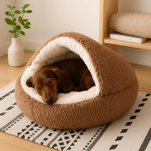 Coussin-anti-stress-chien-niche-ronde-lit rond au design semi-fermé-peluche-antidérapant-imperméable-rembourrage 100% coton haute densité ergonomique-douillet enveloppant-apaisant-avec rebord surélevé 360° sécurisant-lavable en machine-pour chiot et petit chien de 0 à 8 kg-un chien miniature qui dort paisiblement dans son coussin en forme de niche avec couverture enveloppante sur le dessus cousu, sa tête reposant sur le rebord de l'avant du lit rond de couleur marron dans le salon de la maison