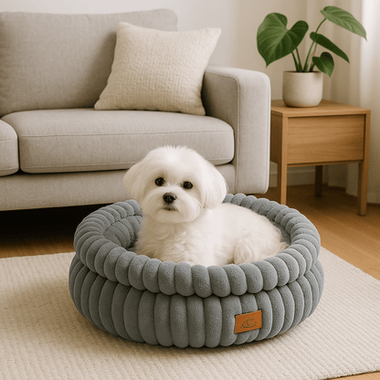 Coussin-anti-stress-chien-avec-oreiller intérieur amovible-rembourrage 100% coton haute densité ergonomique-velours côtelé résistant aux griffes-antidérapant-rond de couleur gris pour chien de petite taille et race naine de 0 à 5 kg-un chien de petite taille couché au chaud confortablement dans son panier avec rebord haut rond chaud et douillet dans le salon de la maison