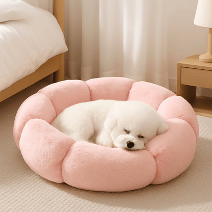 Coussin-anti-stress-chien-avec-rebord-chihuahua-caniche nain-Teckel miniature-Schnauzer- bichon frisé -Cairn terrier -Jack Russel - Pinscher nain -Coton de Tuléar- Shih tzu-Loulou de poméranie -Yorkshire-Lhassa Apso -Affenpinscher-Épagneul Papillon, ou Épagneul nain-Petit brabançon