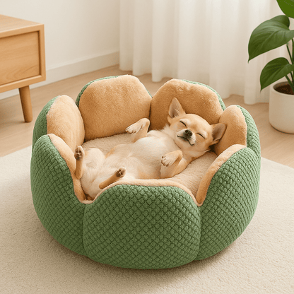 Coussin-anti-stress-chien-chaud-fleur-un chien nain couché sur le dos les pattes en l'air qui dort paisiblement dans son lit rond épais avec son coussin amovible épais 100% coton haute densité lavable en machine dans le salon de l'appartement