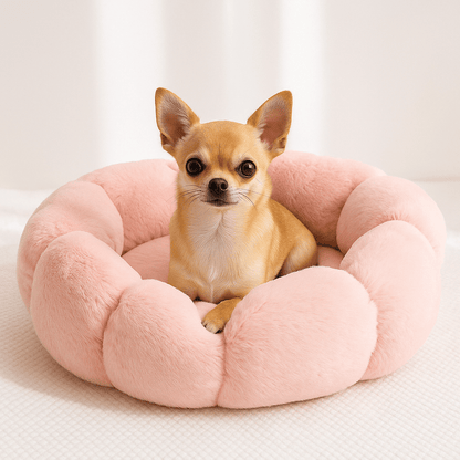 Coussin-anti-stress-chien-chaud-lavable-chihuahua-caniche nain-Teckel miniature-Schnauzer- bichon frisé -Cairn terrier -Jack Russel - Pinscher nain -Coton de Tuléar- Shih tzu-Loulou de poméranie -Yorkshire-Lhassa Apso -Affenpinscher-Épagneul Papillon, ou Épagneul nain-Petit brabançon