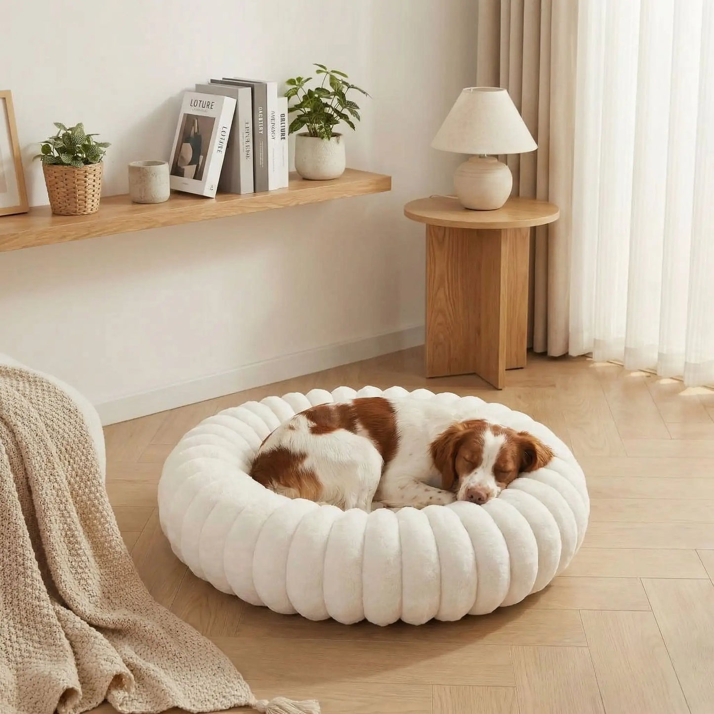 Coussin-anti-stress-chien-chiot-cocon-antiderapant, rembourrage 100% coton haute densité, housse en velours doux et hypoallergénique,lavable en machine, lit rond en forme de donut avec rembord surélevé entourant à 360° en peluche douce et disponible en 4 tailles du XS au XL pour chien de petite à grande taille-un chien de chasse qui dort niché dans son coussin rond apaisant et chaud ergonomique au rembourrage 100% coton haute densité dans la chambre de l'appartement