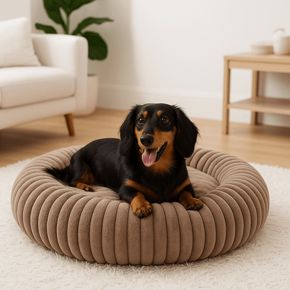 Coussin-anti-stress-chien-chiot-lavable en machine-rembourrage 100% coton haute densité-ergonomique-épais-antidérapant-housse ultra-douce en velours-résistant aux griffes-design-un petit chien couché confortablement et détendu dans son lit rond avec rebord surélevé entourant et sécurisant anti-anxiété pour chien de petite taille de couleur marron sur le sol du salon de l'appartement