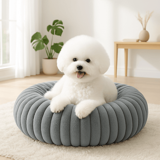 Coussin-anti-stress-chien-chiot-lavable en machine-rembourrage 100% coton haute densité-ergonomique-épais-antidérapant-housse ultra-douce en velours-résistant aux griffes-design-un chien de petite taille couché confortablement et heureux dans son lit rond avec rebord surélevé entourant et sécurisant anti-anxiété pour chien de petite taille de couleur gris sur le sol du salon de la maison