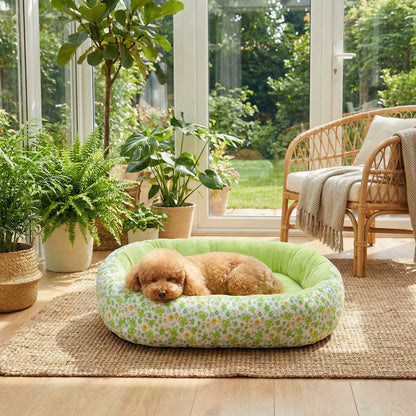 Coussin-anti-stress-chien-motif-floral-apaisant de forme ovale avec rebord surélevé à 360° pour un effet anti anxiété- ergonomique rembourrage et tissu 100% coton haute densité écologique et hypoallergénique-design pastel avec fleur délicates-lavable en machine et antidérapant pour chien de petite taille de 0 à 12 kilos-un  caniche qui dort paisiblement niché dans le coussin en forme de beignet moelleux,chaud et respirant, matériau écoresponsable de couleur vert dans la véranda de la maison