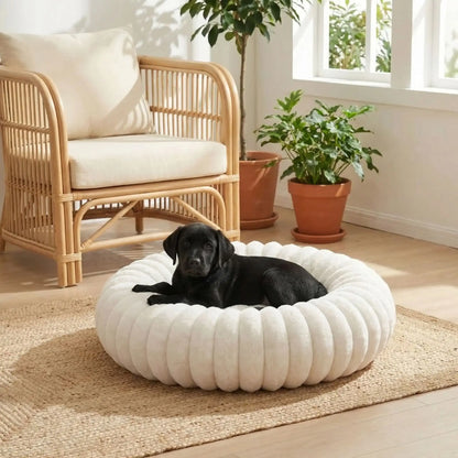 Coussin-anti-stress-chien-chiot-cocon-antiderapant, rembourrage 100% coton haute densité, housse en velours doux et hypoallergénique,lavable en machine, lit rond en forme de donut avec rembord surélevé entourant à 360° en peluche douce et disponible en 4 tailles du XS au XL pour chien de petite à grande taille-un grand chien couché et niché dans son coussin rond de taille XL apaisant et chaud ergonomique au rembourrage 100% coton haute densité dans le salon de la maison