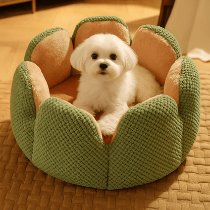 Coussin-anti-stress-petit-chien-chiot-en forme de fleur avec rebord surélevé en forme de pétale-un petit chien assis confortablement dans son petit lit rond en peluche ultra-douce et coussin rembourré 100% coton haute densité lavable en machine dans le salon de la maison