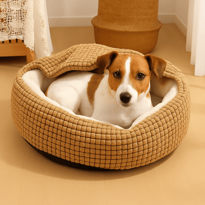 Coussin-anti-stress-pour-chien-solide-lavable-antidérapant-en peluche douce et résistante aux griffes et rembourrage ergonomique 100% coton haute densité-un petit chien confortablement couché dans son coussin chaud et doux de couleur marron dans le salon de l'appartement