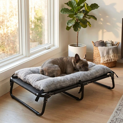 Coussin-chien-déhoussable-pour-lit-de-camp, de camping, surélevé et pliable de 4 tailles S, M, L et XL pour chien de petite à grande taille, rembourrage 100% coton PP et housse en peluche et velours ultra-doux et hypoallergénique de couleur gris, résistant aux griffes-un chien de taille moyenne couché confortablement sur son coussin rembourré en coton attaché par ses 6 sangles avec clips sur le lit pliant surélevé dans le salon de l'appartement 