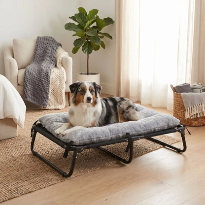 Coussin-chien-déhoussable-pour-lit-de-camp, de camping, surélevé et pliable de 4 tailles S, M, L et XL pour chien de petite à grande taille, rembourrage 100% coton PP et housse en peluche et velours ultra-doux et hypoallergénique de couleur gris, résistant aux griffes-un chien de race moyenne couché confortablement sur son coussin rembourré en coton attaché par ses 6 sangles avec clips sur le lit pliant surélevé dans la chambre de la maison