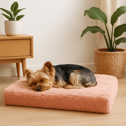 Coussin-chien-orthopédique-déhoussable-résistant aux griffes en peluche doux-lavable en machine et imperméable-un yorkshire qui dort confortablement sur son matelas à mémoire de forme 100% coton haute densité hypoallergénique écologique-matériau naturel-écoresponsable de couleur rose dans le salon douillet de l'appartement